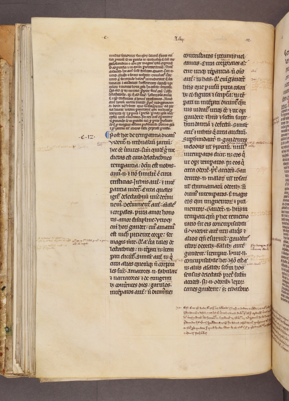 Folio 65 verso